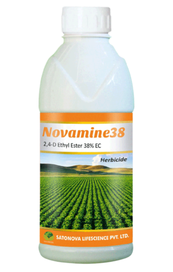 novamine38