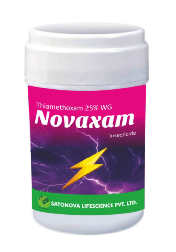 novaxam