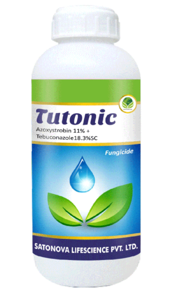 tutonic